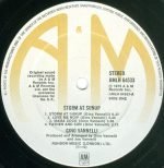 Gino Vannelli – Storm At Surup LP Plak - Görsel 4