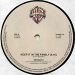 Deodato – Keep On Movin' / Keep It In The Family 12'' Maxi Single Plak - Görsel 3