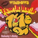 Windows – How Do You Do 45lik Plak