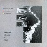 John McLaughlin, Al Di Meola, Paco De Lucía – Passion, Grace & Fire LP Plak