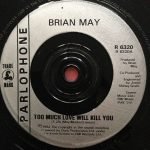 Brian May – Too Much Love Will Kill You 45lik Plak - Görsel 3