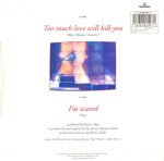 Brian May – Too Much Love Will Kill You 45lik Plak - Görsel 2