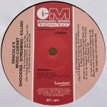 The Vampires Of Dartmoore – Dracula's Music Cabinet LP Plak - Görsel 5