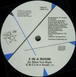 2 In A Room – Do What You Want (C+C Music Factory & David Morales Remixes) 12" Maxi Single Plak (Early House) - Görsel 3