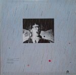 Lucio Battisti – Una Giornata Uggiosa LP Plak - Görsel 3