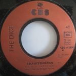 The Dice – Self Destruction 45lik Plak - Görsel 3