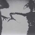 The Twilight Singers – Dynamite Steps CD