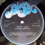 Johnny Winter – Raisin' Cain LP Plak - Görsel 3