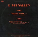 T-Ski Valley – Valley Style 12'' Maxi Single Plak - Görsel 2