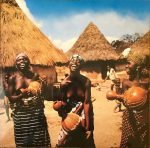 Francis Bebey – African Electronic Music 1975-1982 2LP Plak - Görsel 3