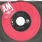Chris de Burgh – The Lady in Red 45lik Plak