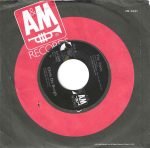 Chris de Burgh – The Lady in Red 45lik Plak - Görsel 2