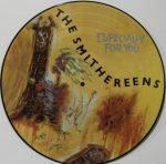 The Smithereens – Especially For You LP Plak (Picture Disc) - Görsel 3