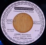 Orchestre J.L. Palix – L'Orange 45lik Plak - Görsel 2