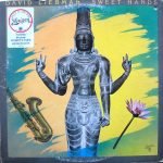 David Liebman – Sweet Hands LP Plak