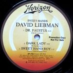 David Liebman – Sweet Hands LP Plak - Görsel 5