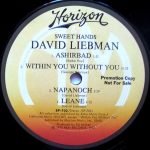 David Liebman – Sweet Hands LP Plak - Görsel 6