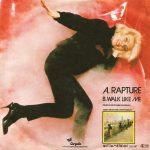 Blondie – Rapture 45lik Plak - Görsel 2