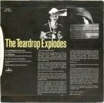 The Teardrop Explodes – You Disappear From View 45lik Plak - Görsel 2