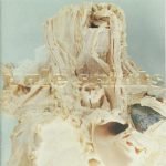Pale Saints – In Ribbons LP Plak (İlk Baskı)