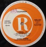 Gianna Nannini – California LP Plak - Görsel 3