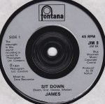 James – Sit Down 45lik Plak - Görsel 3