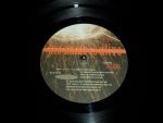 His Name Is Alive – Mouth By Mouth LP Plak (İlk Baskı) - Görsel 3