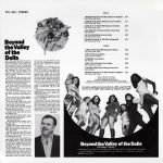 Beyond The Valley Of The Dolls (Original Soundtrack Album) LP Plak (Russ Meyer) - Görsel 2
