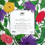 Alisha – Baby Talk 12" Maxi Single Plak - Görsel 2
