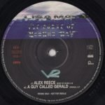 Lisa May – The Curse Of Voodoo Ray 12" Maxi Single Plak (Drum n Bass) - Görsel 3