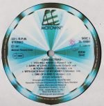 Stevie Wonder – Characters LP Plak - Görsel 5