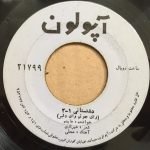Hayedeh – Dashtestany 45lik Plak - Görsel 3