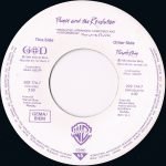 Prince And The Revolution – Purple Rain 45lik Plak - Görsel 3