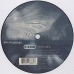 Rob Acid – Hunter (Remixes) 12'' Maxi Single Plak (Techno) - Görsel 2