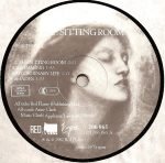 Anne Clark – The Sitting Room LP Plak - Görsel 3