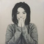 Björk – Debut LP Plak