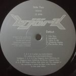 Björk – Debut LP Plak - Görsel 4