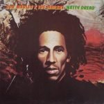 Bob Marley & The Wailers – Natty Dread LP Plak