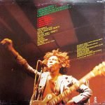 Bob Marley & The Wailers – Natty Dread LP Plak - Görsel 2
