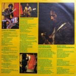 Bob Marley & The Wailers – Natty Dread LP Plak - Görsel 3