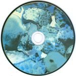 Foals – Total Life Forever CD - Görsel 3