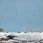 Scintilator ‎– The Festival 12" Maxi Single Plak (Trance) - Görsel 2