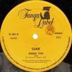 Giak ‎– Inside You 12" Maxi Single Plak - Görsel 4