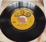 Dariush – Boye Khob Gandam 45lik Plak - Görsel 2