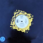Faithless – Insomnia 12" Maxi Single Plak - Görsel 2