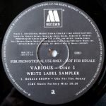 White Label Sampler 2x12" Maxi Single Plak - Görsel 2