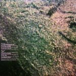 Quill LP Plak - Görsel 2