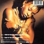 Technotronic Featuring Felly – Pump Up The Jam 45lik Plak - Görsel 2