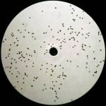 Sturm – Die Glocken Von Sturm 12'' Maxi Single Plak (Techno) - Görsel 3