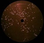 Sturm – Die Glocken Von Sturm 12'' Maxi Single Plak (Techno) - Görsel 4